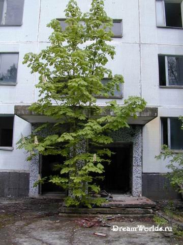 Годовщине Чернобыльской Аварии посвящается...