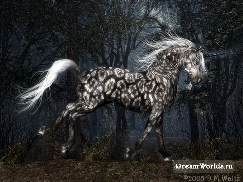 просто красивые лошадки