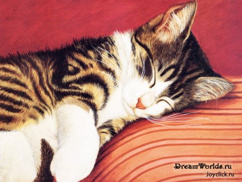 http://dreamworlds.ru/uploads/posts/2008-06/thumbs/1214289352_1204709315_lowell_herrero_cat_paintings_.jpg