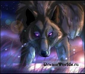 Волки-дикие и свободные
