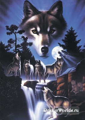 Волчья тема (продолжение)
