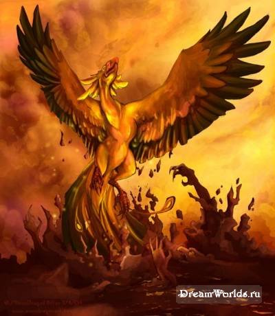 Огненная птица - феникс