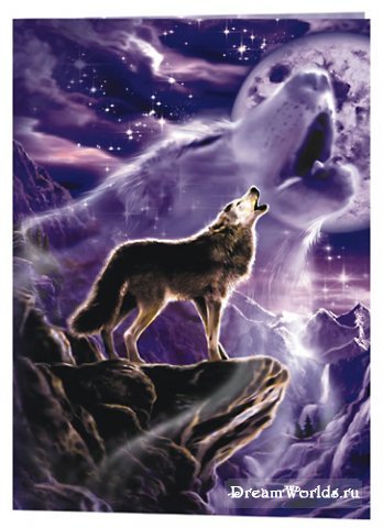 Волки-дикие и свободные (часть 3)