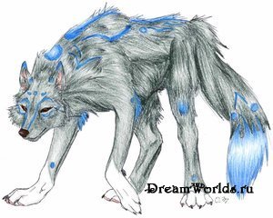 Волки-дикие и свободные (часть 3)