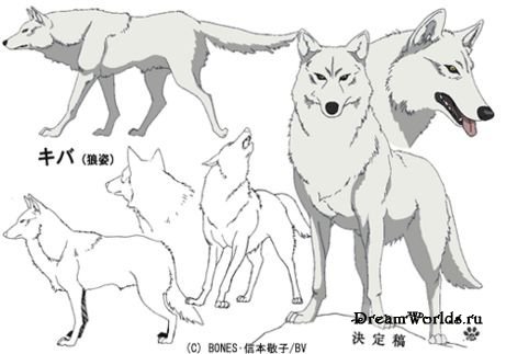 Волки - лесные бродяги