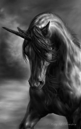 Темная и Светлая стороны лошадей...