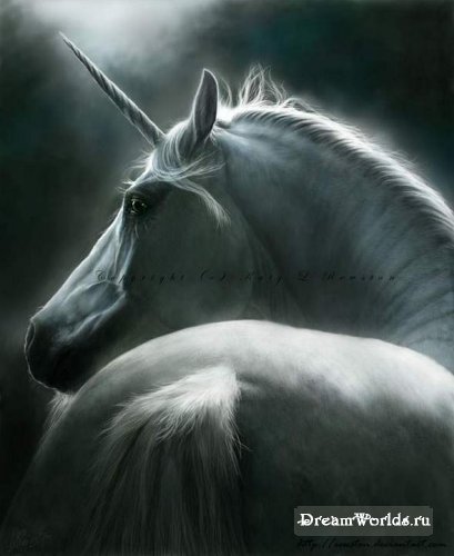 Лошади - божественные создания
