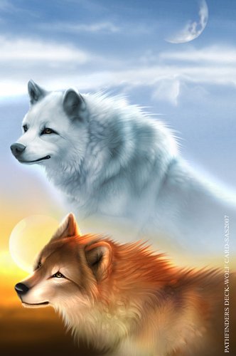 Wolves by Khaosdog