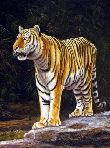 Мансарда 1226665823_animals_tiger