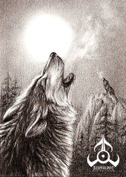 Волки от художницы Jen Philpot