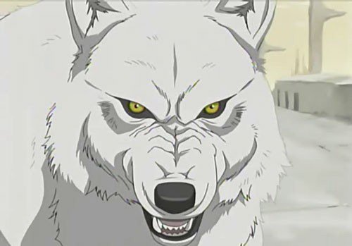 Kiba и другие герои аниме Wolfs Rain