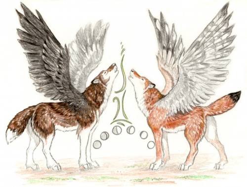 Крылатые псы-Симураны(часть 4)