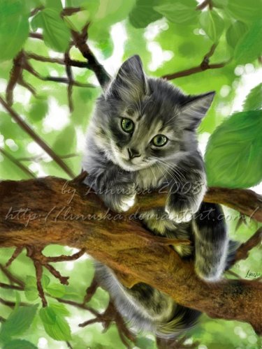 http://dreamworlds.ru/uploads/posts/2009-04/thumbs/1240910105_cat_on_a_tree_by_linuska.jpg
