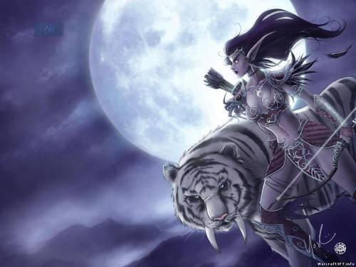 Герои Warcraft(Ночные эльфы)
