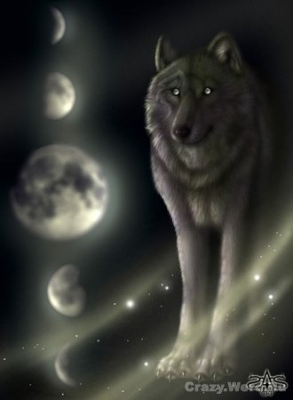 Мой первый пост из моих любимых картинок волков, оборотней и полукровок.