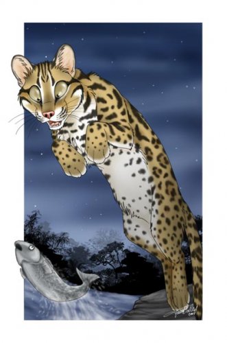 http://dreamworlds.ru/uploads/posts/2009-05/thumbs/1241286752_leopard_cat_by_tanidareal.jpg