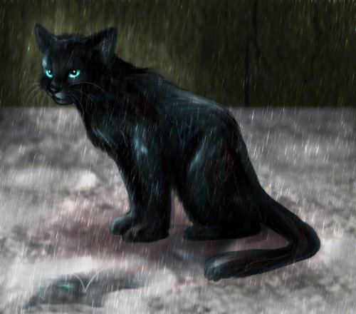 http://dreamworlds.ru/uploads/posts/2009-05/thumbs/1241286753_lonely_cat_by_cybercatmia.jpg