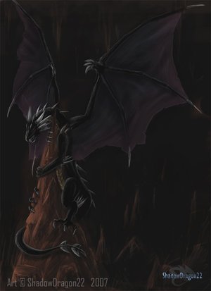 Черные драконы