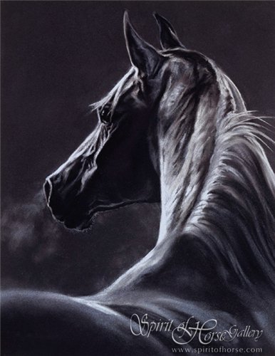 Благородное животное - лошадь