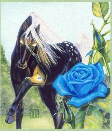 Благородное животное - лошадь 2