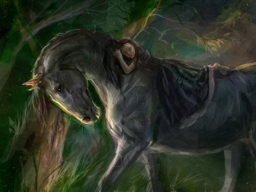 Благородное животное - лошадь 2