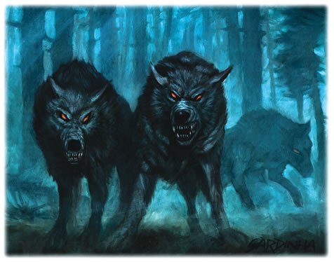 Волки, оборотни и другие собачьи