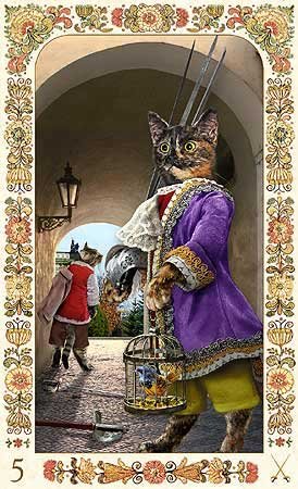 Bohemian Cats96; Tarot
