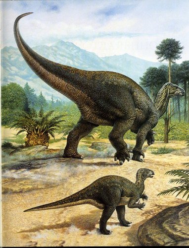 Динозавры в своей среде обитания.