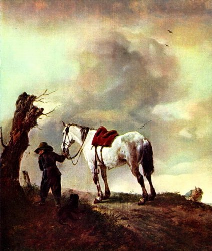 Лошадь и ее всадник 3