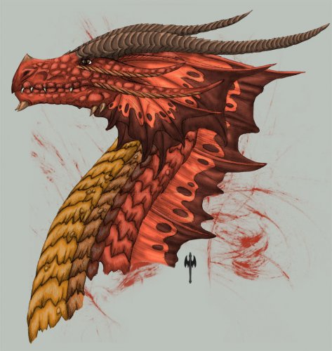 http://dreamworlds.ru/uploads/posts/2009-08/thumbs/1251024230_red_dragon_head_side_view_by_tarjcia.jpg
