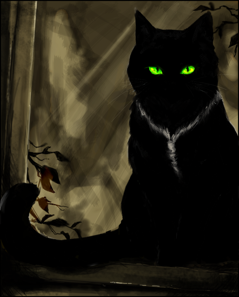 http://dreamworlds.ru/uploads/posts/2009-10/1256647169_the_black_cat_by_tsukimeushi.png