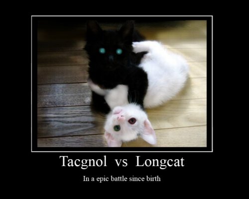 http://dreamworlds.ru/uploads/posts/2009-10/thumbs/1254937348_longcat_tacgnol_epic_battle_since_birth.jpg