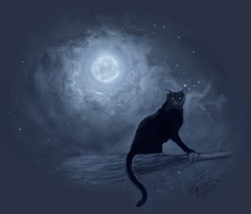 http://dreamworlds.ru/uploads/posts/2009-10/thumbs/1256647153_the_witches_cat_by_howlinghorse.jpg