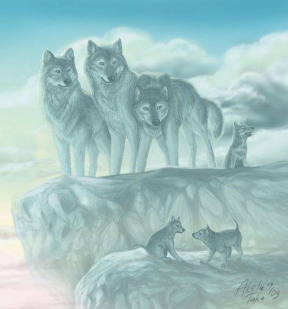 Волки и дикие кошки. Часть 4