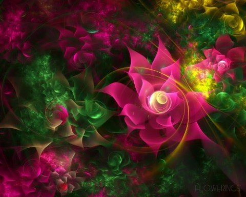 Цветочные абстракции