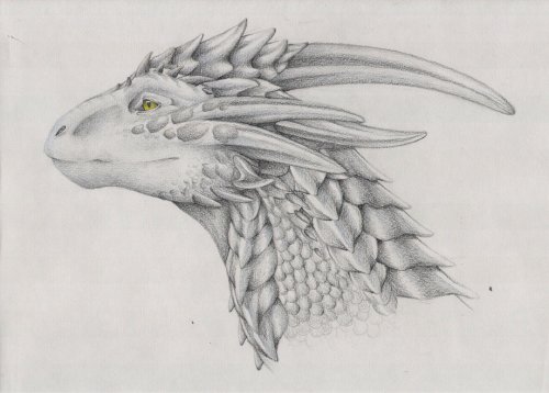 Рисованые драконы