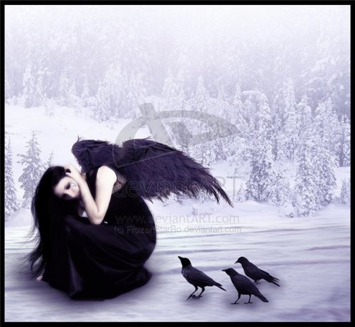 Dark Angel Selin