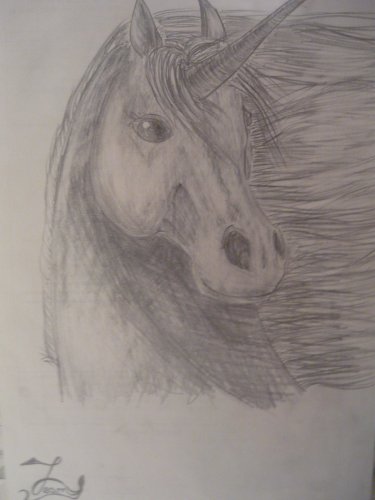Мои рисунки. Лошади