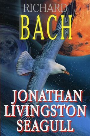 Обзор книги Ричарда Баха "Чайка по имени Джонатан Ливингстон"
