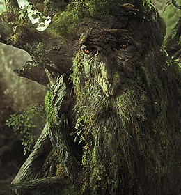 Дендроиды-истинные жители лесов