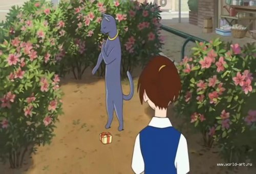 Обзор аниме "Возвращение кота" ("Кошачья благодарность")