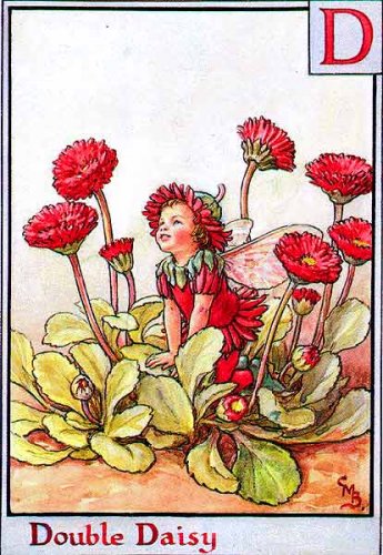 Азбука цветов от Cicely Mary Barker