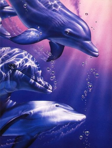 Легенда о розовом дельфине