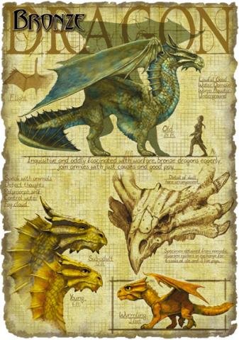 Бронзовый дракон: морской бродяга