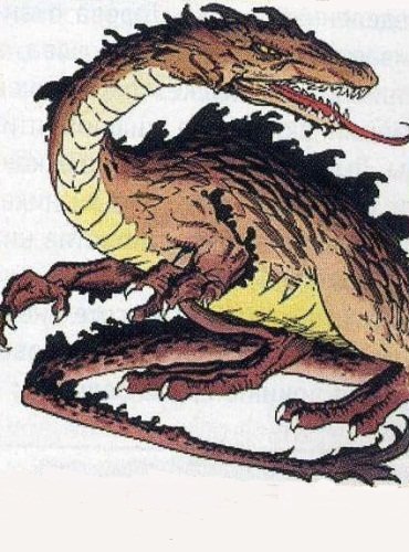 Коричневый дракон: тиран пустыни