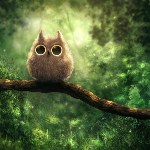 Kikariz Owl