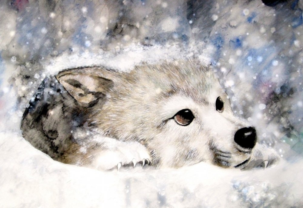 http://dreamworlds.ru/uploads/posts/2010-12/1291624884_wolf__s_snow_by_zhao1.jpg