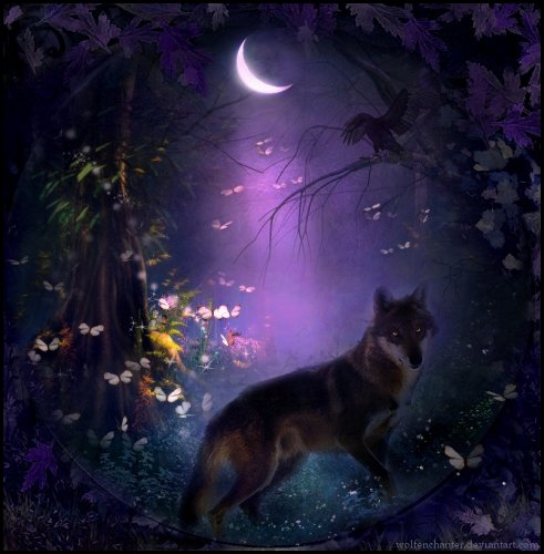 Волки от wolfenchanter