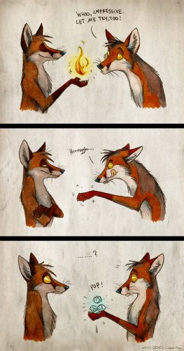 Culpeo-Fox. Funny Stuff