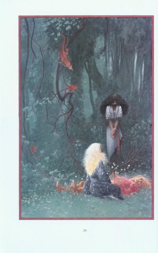 Иллюстрации Чарльза Весса к книге Нила Геймана "Звездная пыль".